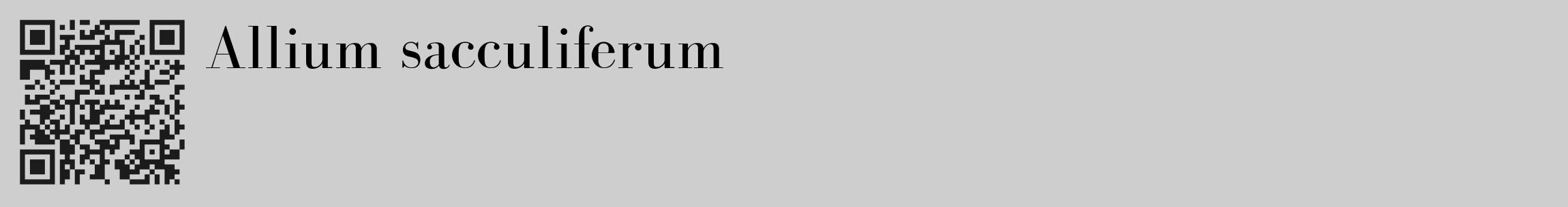 Étiquette de : Allium sacculiferum - format c - style noire17_basique_basiquebod avec qrcode et comestibilité