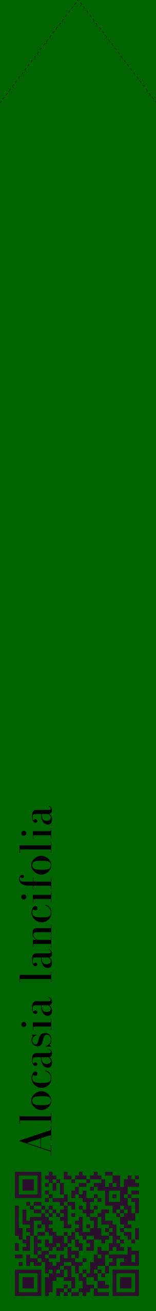 Étiquette de : Alocasia lancifolia - format c - style noire8_simplebod avec qrcode et comestibilité