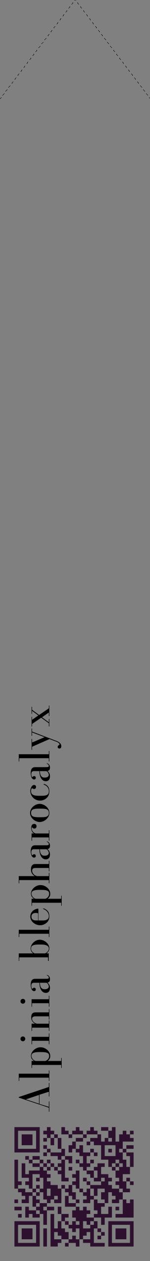 Étiquette de : Alpinia blepharocalyx - format c - style noire57_simplebod avec qrcode et comestibilité