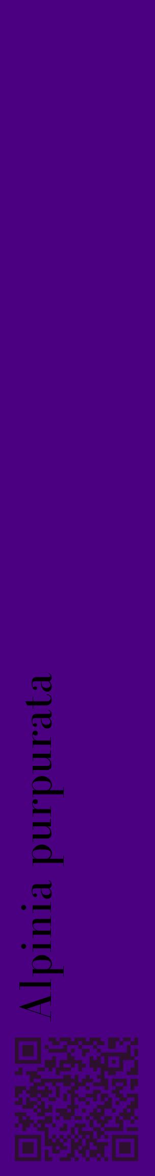 Étiquette de : Alpinia purpurata - format c - style noire47_basiquebod avec qrcode et comestibilité