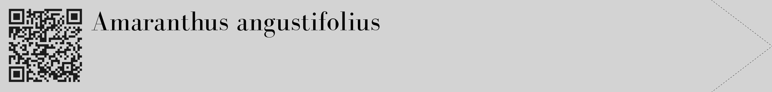 Étiquette de : Amaranthus angustifolius - format c - style noire56_simple_simplebod avec qrcode et comestibilité
