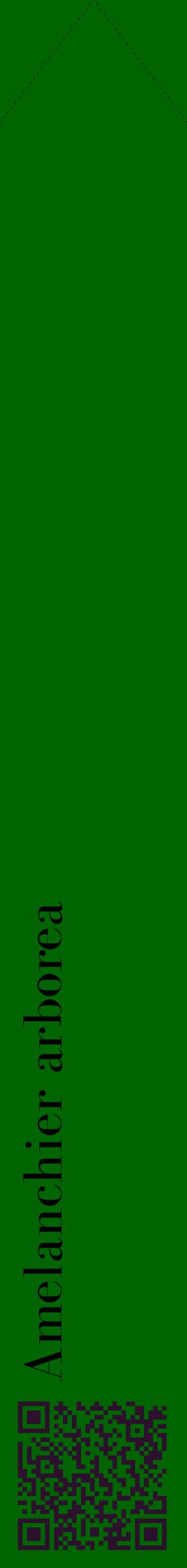 Étiquette de : Amelanchier arborea - format c - style noire8_simplebod avec qrcode et comestibilité