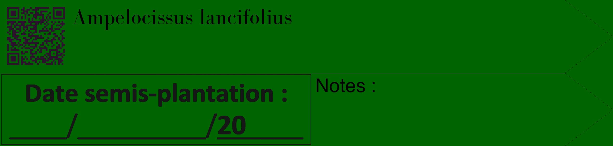 Étiquette de : Ampelocissus lancifolius - format c - style noire8_simple_simplebod avec qrcode et comestibilité