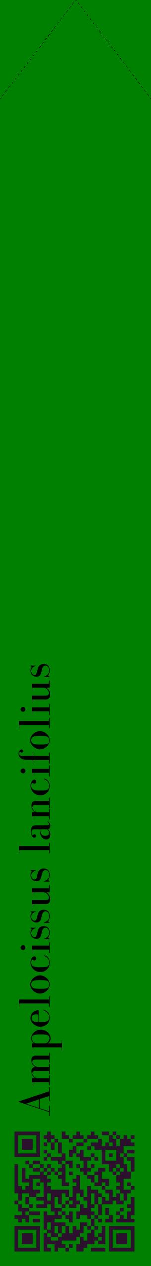 Étiquette de : Ampelocissus lancifolius - format c - style noire9_simplebod avec qrcode et comestibilité
