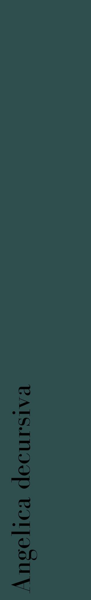 Étiquette de : Angelica decursiva - format c - style noire58_basiquebod avec comestibilité
