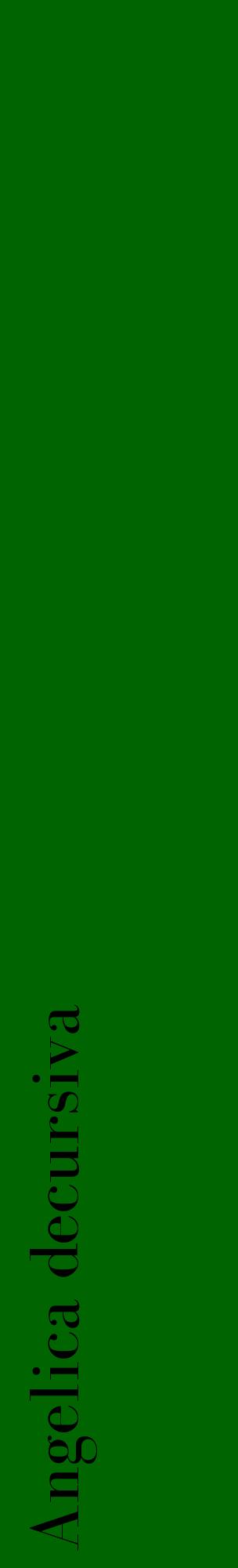 Étiquette de : Angelica decursiva - format c - style noire8_basiquebod avec comestibilité