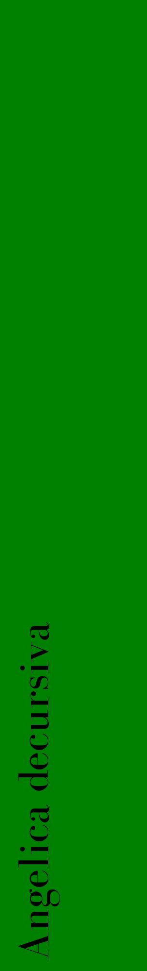 Étiquette de : Angelica decursiva - format c - style noire9_basiquebod avec comestibilité
