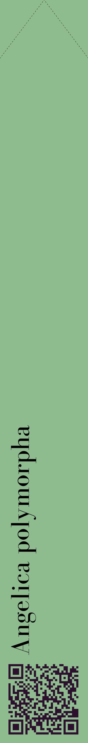 Étiquette de : Angelica polymorpha - format c - style noire13_simplebod avec qrcode et comestibilité