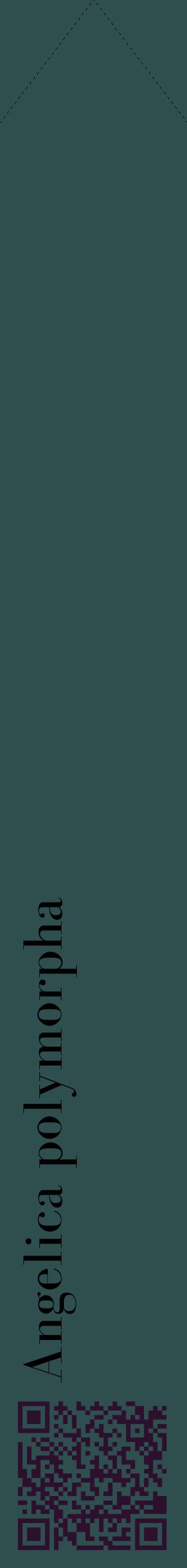 Étiquette de : Angelica polymorpha - format c - style noire58_simplebod avec qrcode et comestibilité