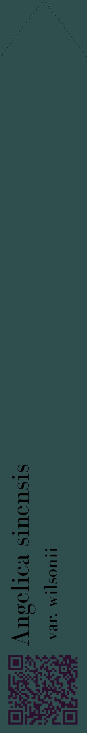 Étiquette de : Angelica sinensis var. wilsonii - format c - style noire58_simplebod avec qrcode et comestibilité