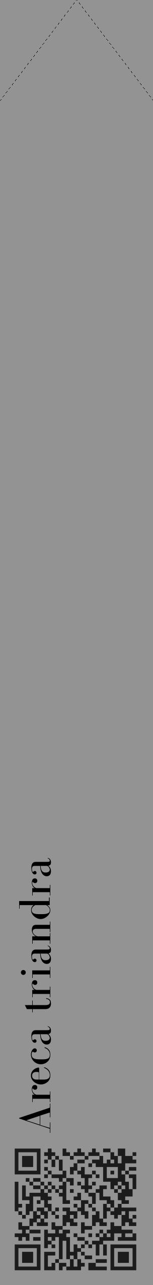 Étiquette de : Areca triandra - format c - style noire44_simple_simplebod avec qrcode et comestibilité - position verticale