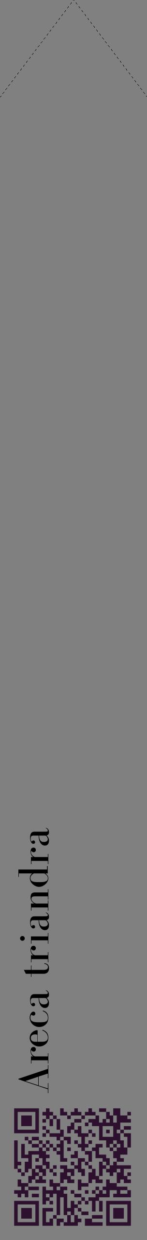 Étiquette de : Areca triandra - format c - style noire57_simplebod avec qrcode et comestibilité