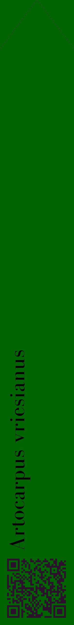 Étiquette de : Artocarpus vriesianus - format c - style noire8_simplebod avec qrcode et comestibilité
