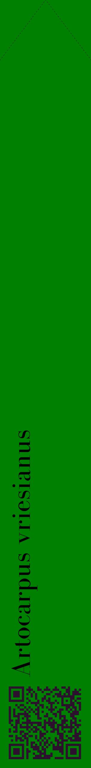 Étiquette de : Artocarpus vriesianus - format c - style noire9_simplebod avec qrcode et comestibilité