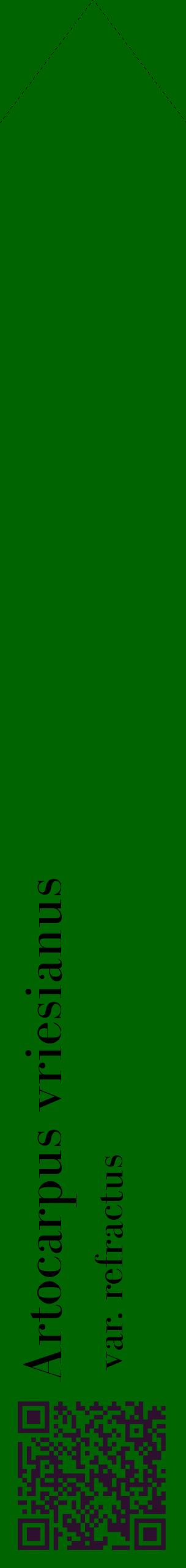 Étiquette de : Artocarpus vriesianus var. refractus - format c - style noire8_simplebod avec qrcode et comestibilité