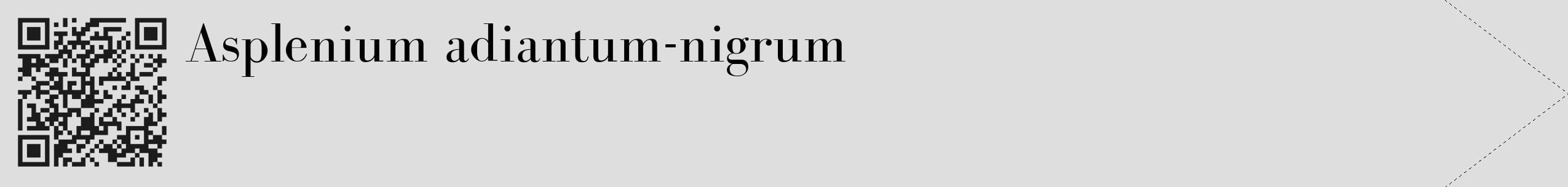 Étiquette de : Asplenium adiantum-nigrum - format c - style noire20_simple_simplebod avec qrcode et comestibilité