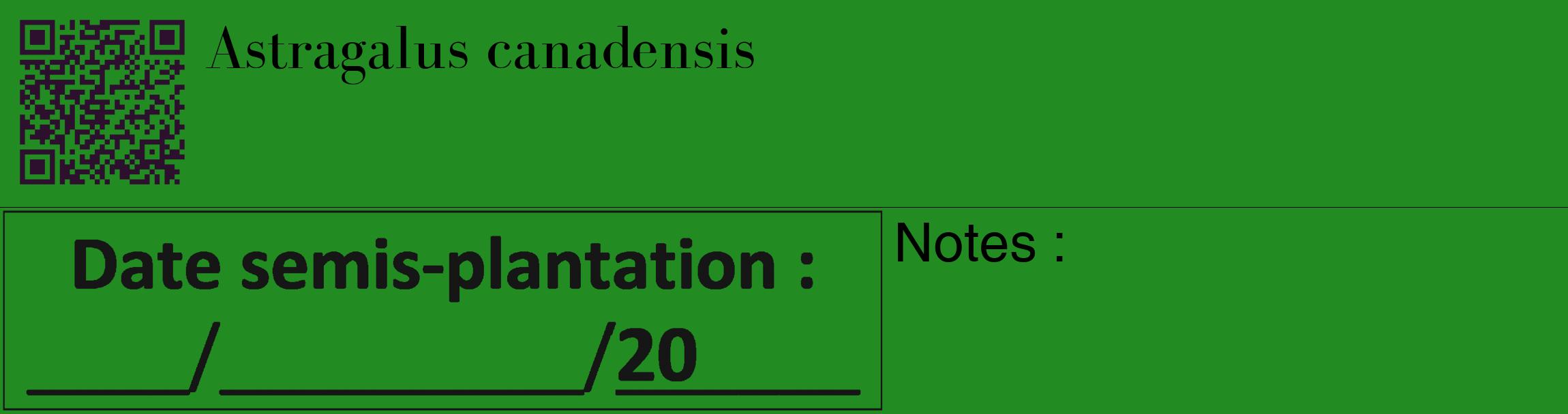 Étiquette de : Astragalus canadensis - format c - style noire10_basique_basiquebod avec qrcode et comestibilité