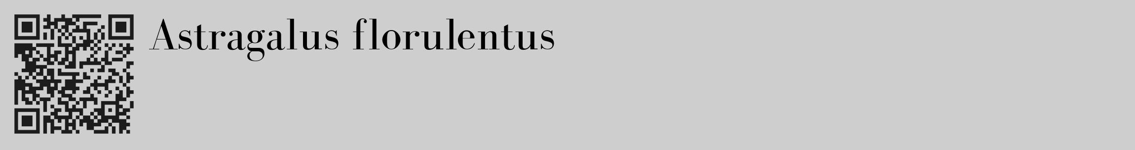 Étiquette de : Astragalus florulentus - format c - style noire17_basique_basiquebod avec qrcode et comestibilité