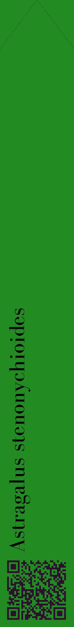 Étiquette de : Astragalus stenonychioides - format c - style noire10_simplebod avec qrcode et comestibilité