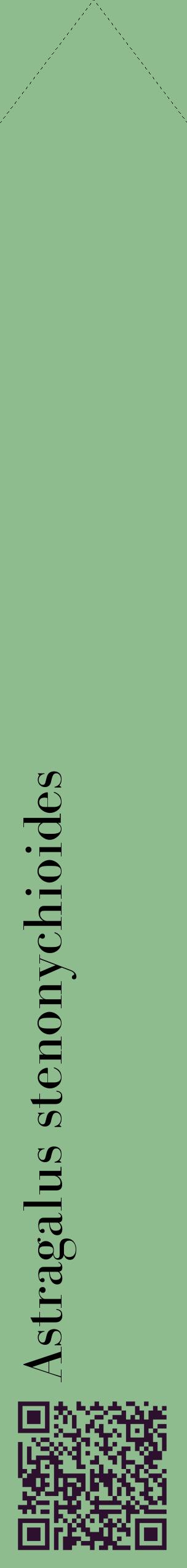 Étiquette de : Astragalus stenonychioides - format c - style noire13_simplebod avec qrcode et comestibilité