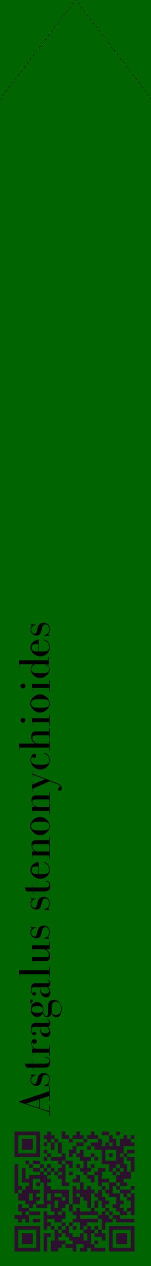 Étiquette de : Astragalus stenonychioides - format c - style noire8_simplebod avec qrcode et comestibilité