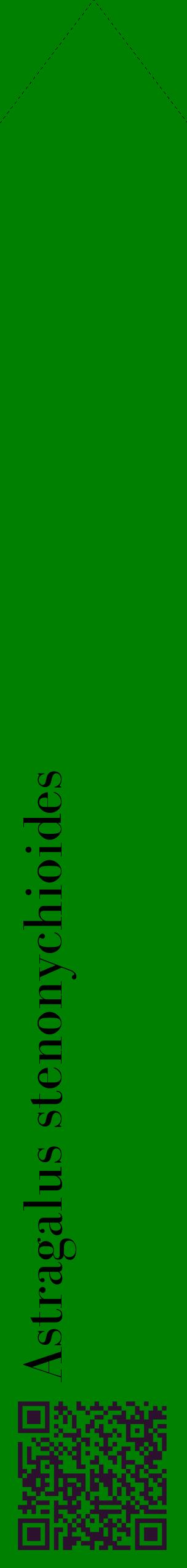 Étiquette de : Astragalus stenonychioides - format c - style noire9_simplebod avec qrcode et comestibilité