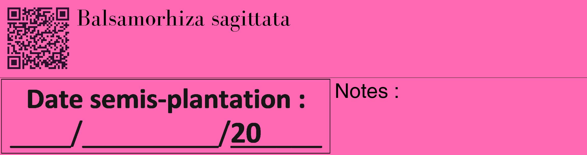 Étiquette de : Balsamorhiza sagittata - format c - style noire42_basique_basiquebod avec qrcode et comestibilité