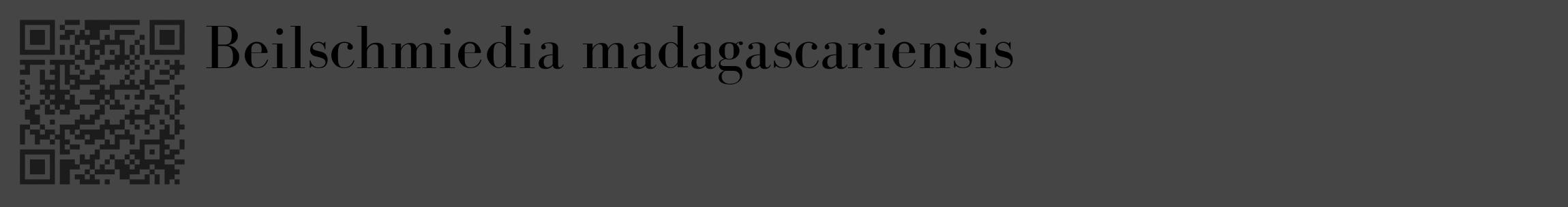 Étiquette de : Beilschmiedia madagascariensis - format c - style noire58_basique_basiquebod avec qrcode et comestibilité