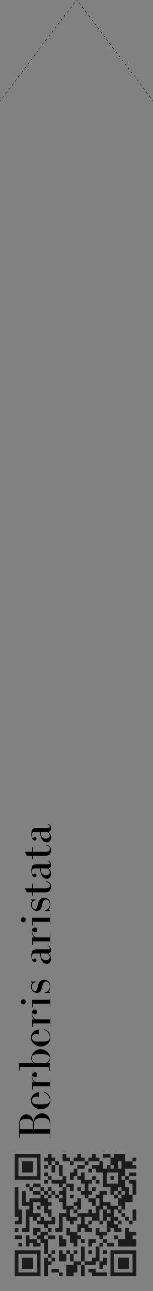 Étiquette de : Berberis aristata - format c - style noire50_simple_simplebod avec qrcode et comestibilité - position verticale