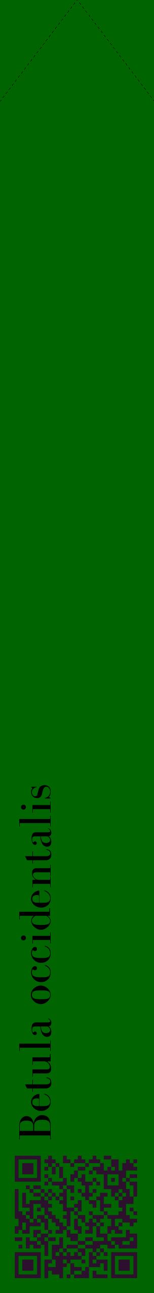 Étiquette de : Betula occidentalis - format c - style noire8_simplebod avec qrcode et comestibilité