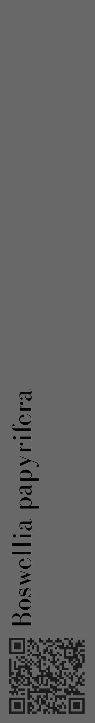 Étiquette de : Boswellia papyrifera - format c - style noire6_basique_basiquebod avec qrcode et comestibilité - position verticale