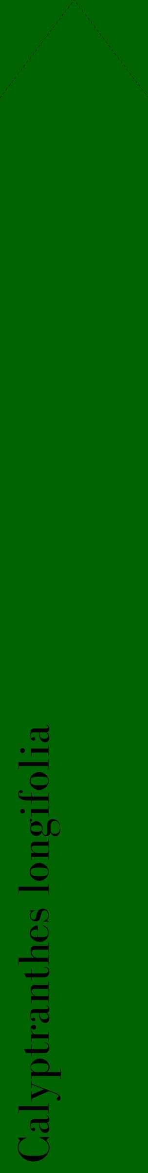 Étiquette de : Calyptranthes longifolia - format c - style noire8_simplebod avec comestibilité
