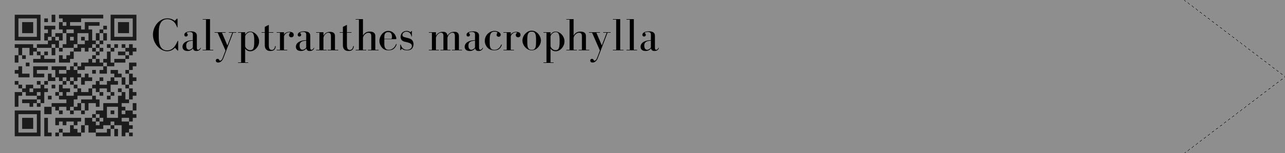 Étiquette de : Calyptranthes macrophylla - format c - style noire25_simple_simplebod avec qrcode et comestibilité