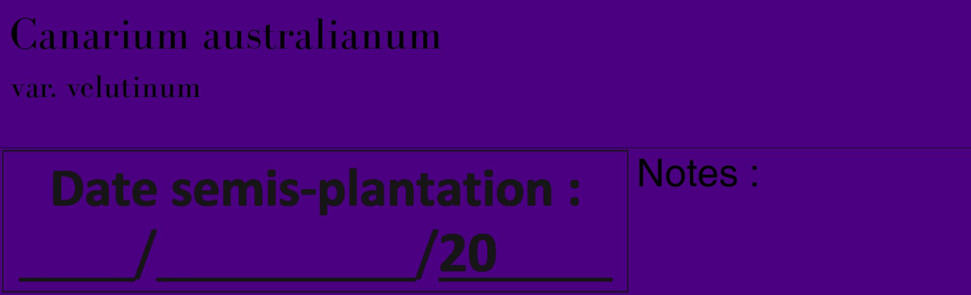 Étiquette de : Canarium australianum var. velutinum - format c - style noire47_basique_basiquebod avec comestibilité