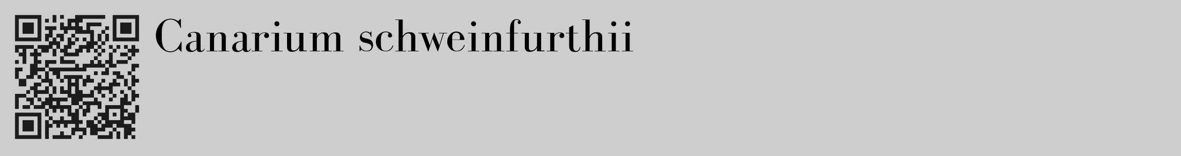 Étiquette de : Canarium schweinfurthii - format c - style noire41_basique_basiquebod avec qrcode et comestibilité