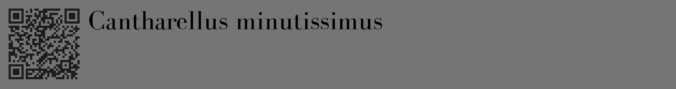 Étiquette de : Cantharellus minutissimus - format c - style noire5_basique_basiquebod avec qrcode et comestibilité