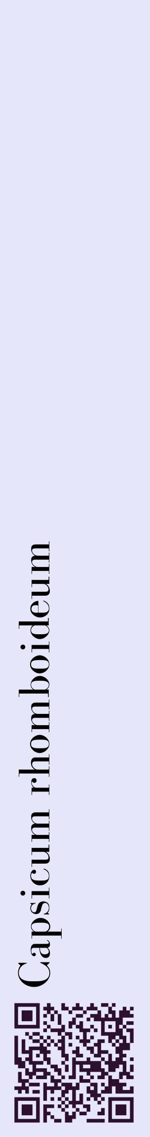 Étiquette de : Capsicum rhomboideum - format c - style noire55_basiquebod avec qrcode et comestibilité