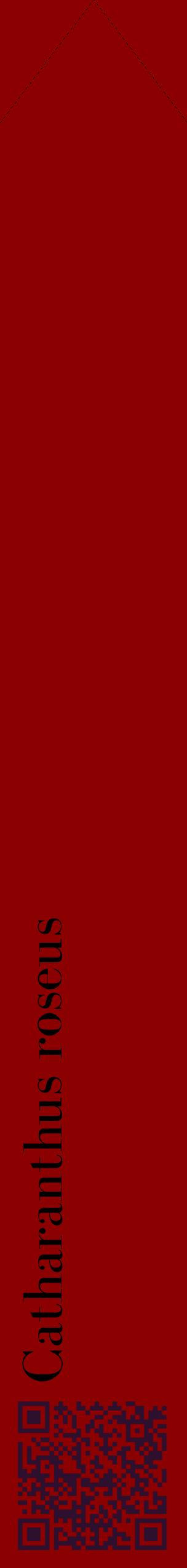 Étiquette de : Catharanthus roseus - format c - style noire34_simplebod avec qrcode et comestibilité