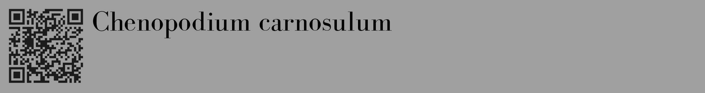 Étiquette de : Chenopodium carnosulum - format c - style noire24_basique_basiquebod avec qrcode et comestibilité