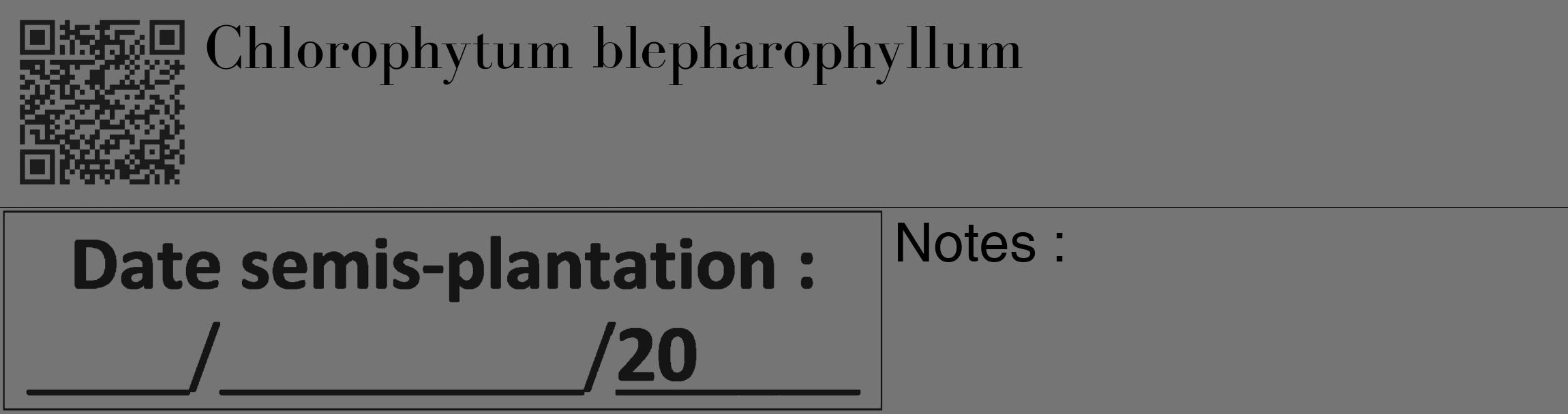Étiquette de : Chlorophytum blepharophyllum - format c - style noire5_basique_basiquebod avec qrcode et comestibilité