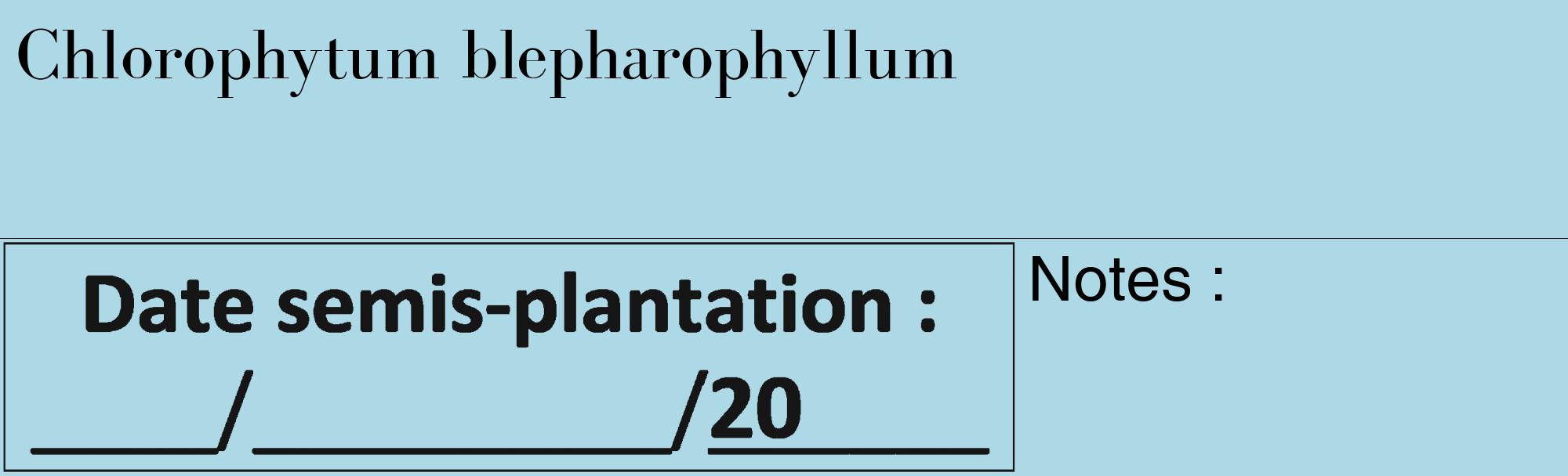 Étiquette de : Chlorophytum blepharophyllum - format c - style noire0_basique_basiquebod avec comestibilité