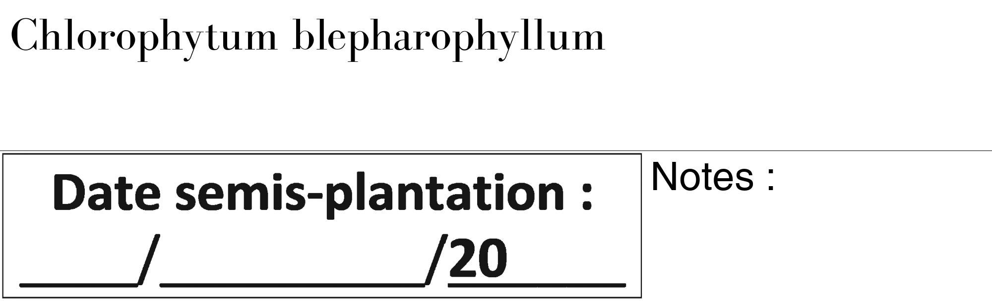 Étiquette de : Chlorophytum blepharophyllum - format c - style noire60_basique_basiquebod avec comestibilité