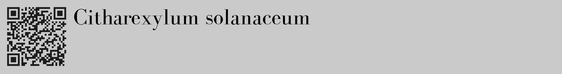 Étiquette de : Citharexylum solanaceum - format c - style noire21_basique_basiquebod avec qrcode et comestibilité