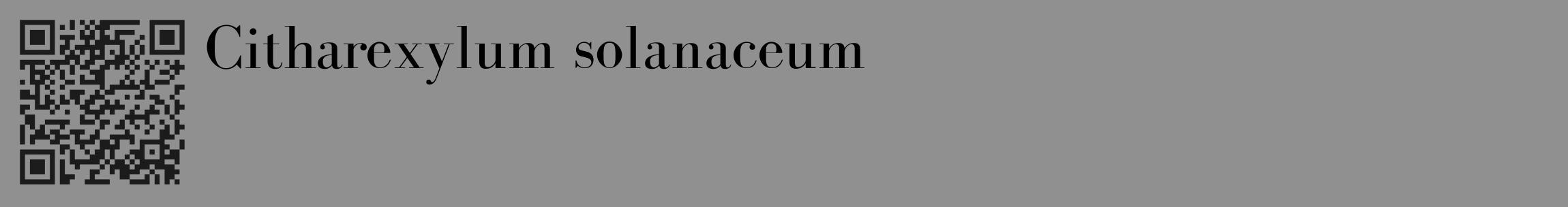 Étiquette de : Citharexylum solanaceum - format c - style noire4_basique_basiquebod avec qrcode et comestibilité
