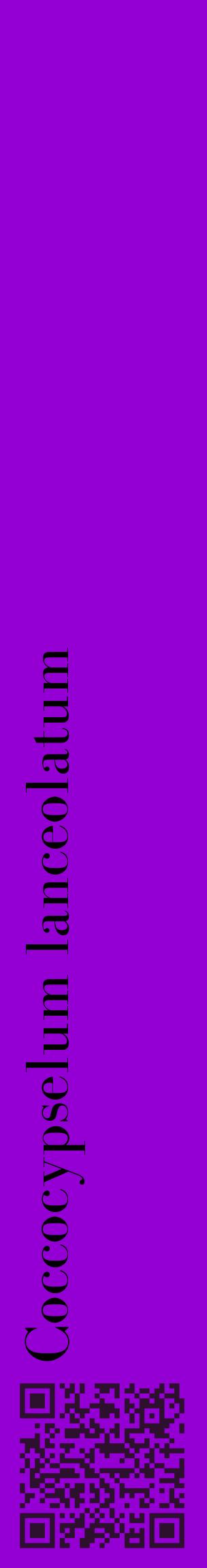 Étiquette de : Coccocypselum lanceolatum - format c - style noire48_basiquebod avec qrcode et comestibilité