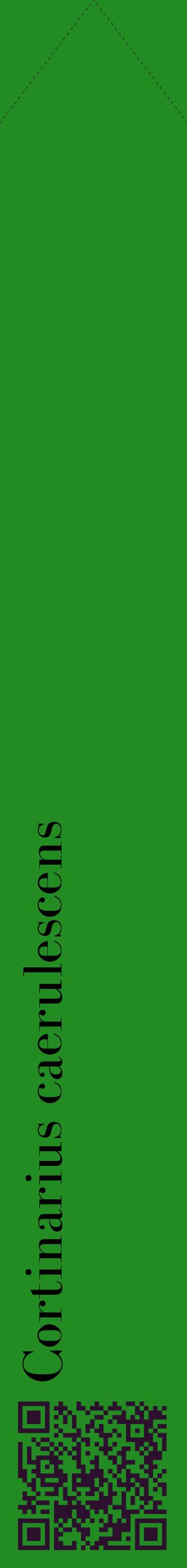 Étiquette de : Cortinarius caerulescens - format c - style noire10_simplebod avec qrcode et comestibilité