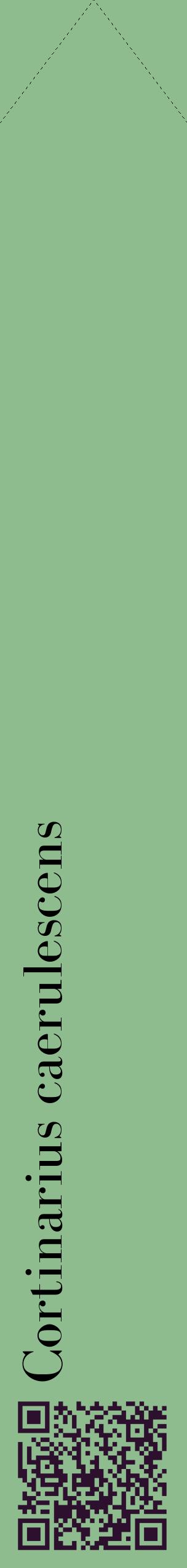 Étiquette de : Cortinarius caerulescens - format c - style noire13_simplebod avec qrcode et comestibilité