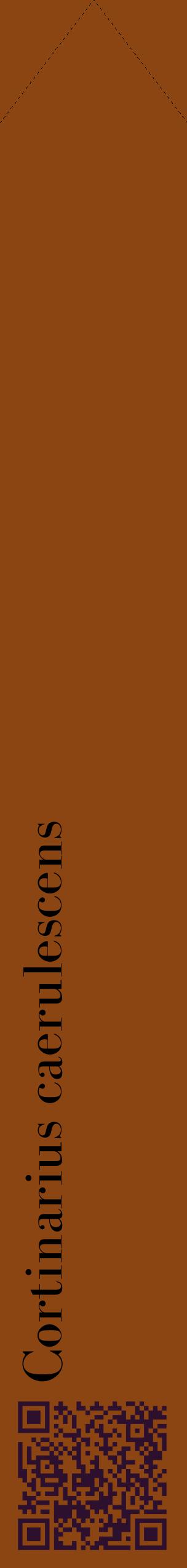 Étiquette de : Cortinarius caerulescens - format c - style noire30_simplebod avec qrcode et comestibilité
