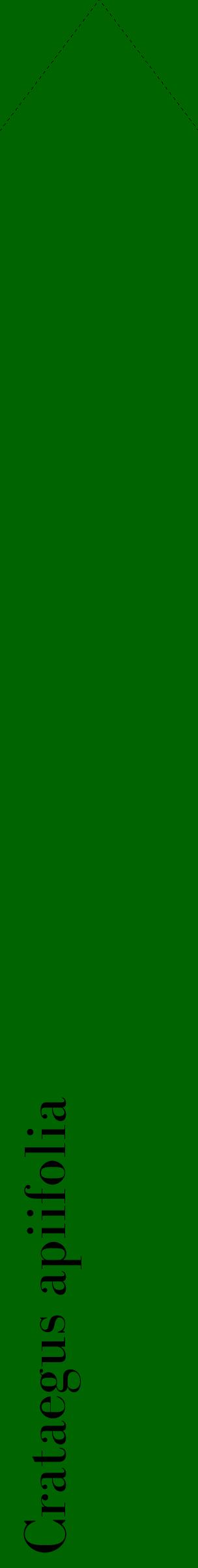 Étiquette de : Crataegus apiifolia - format c - style noire8_simplebod avec comestibilité