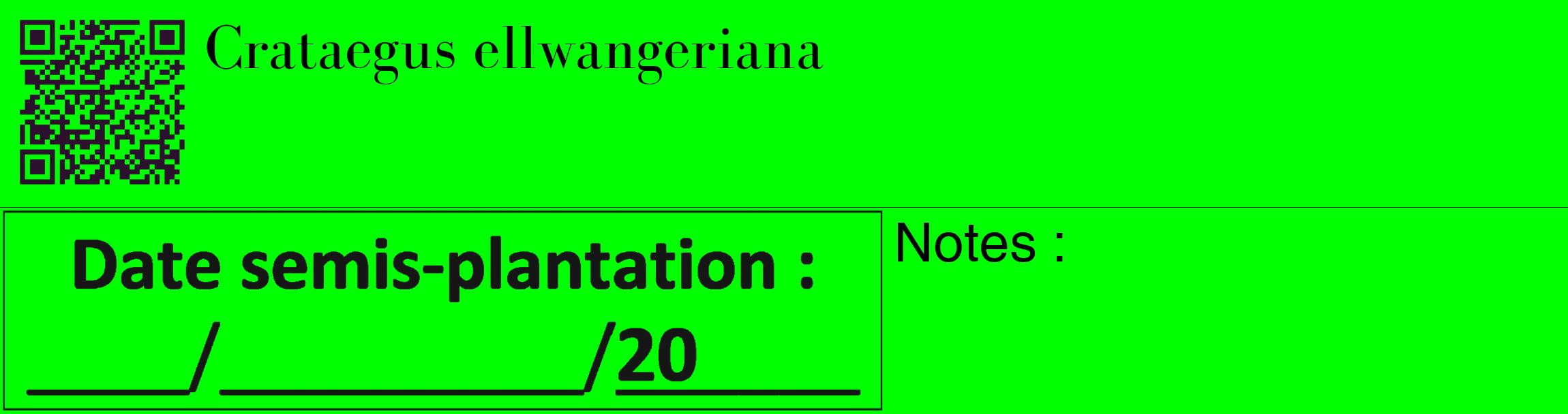 Étiquette de : Crataegus ellwangeriana - format c - style noire16_basique_basiquebod avec qrcode et comestibilité